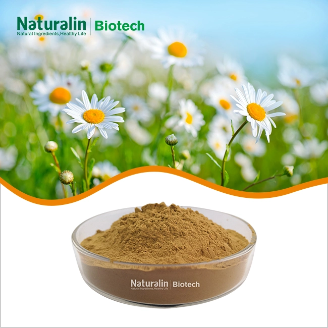 Chamomile Flower Extract Powder Chamomile Flower Extract Powder